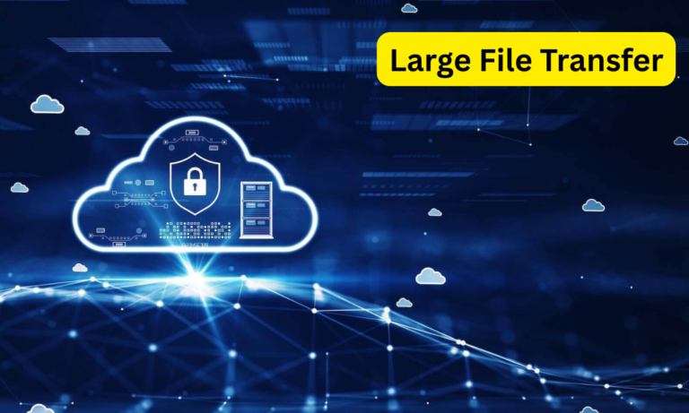 Large File Transfer